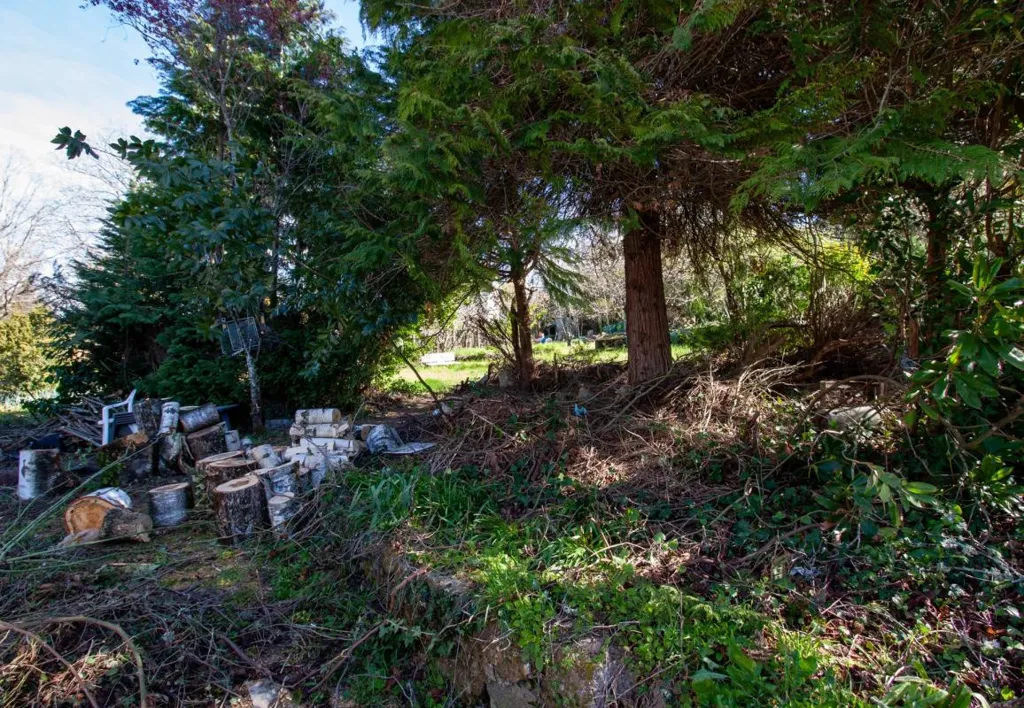 Jardin - Maison Lumineuse avec Jardin à Guéret