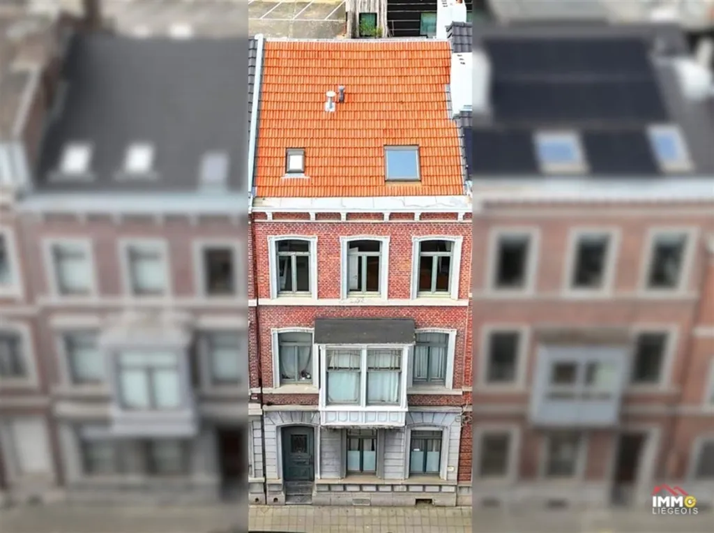 Õhuvaade - 19th-Century House with Terraces in Liège