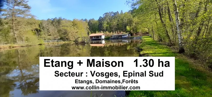 Jardin - Terrain avec Étangs Vidangeables et Maison à Épinal