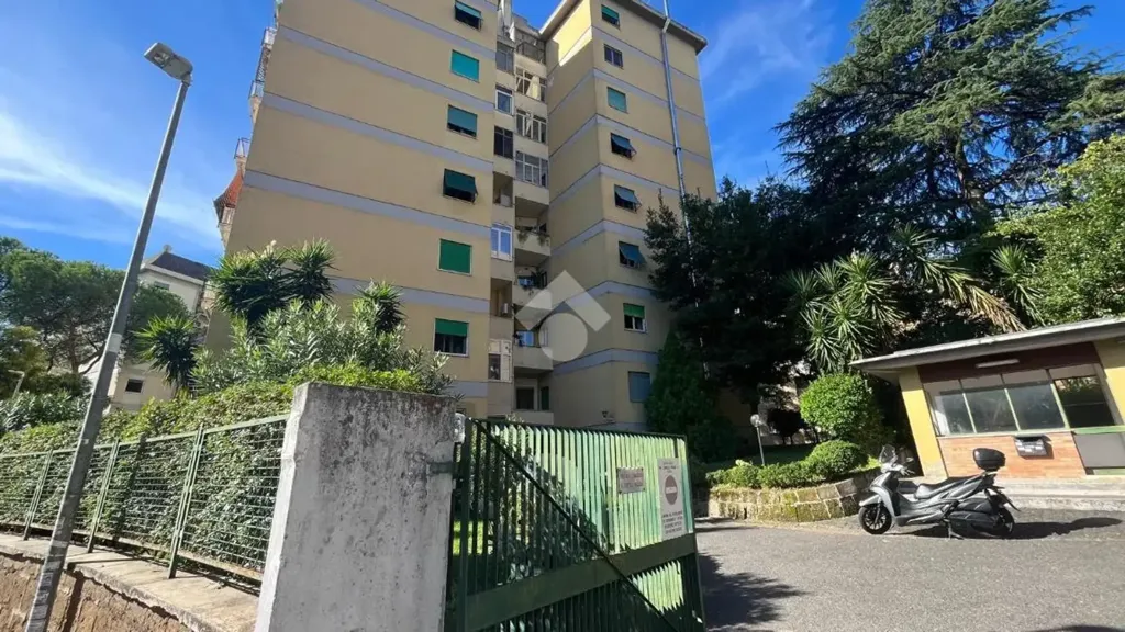 facade