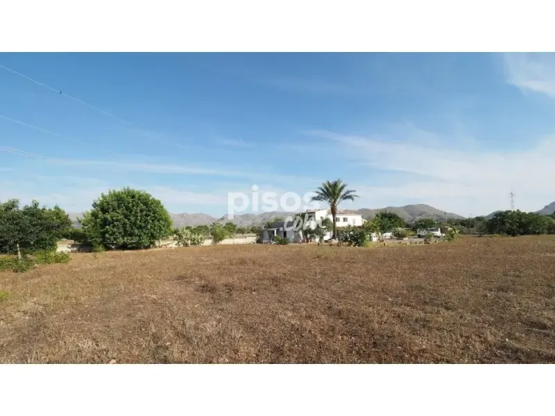 Jardin - Rustic Finca with Mountain Views in Pollença