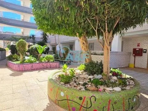 Jardin - T2 Apartment with Pool in Marina d'Or