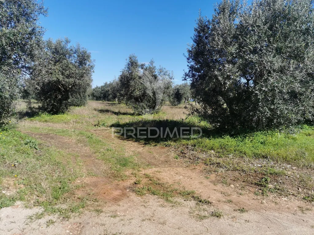 Aed - Urban Plot with Construction Permit in Lisbon