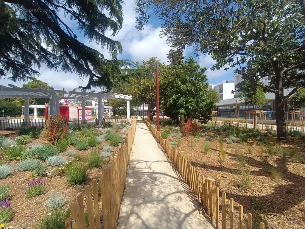 garden