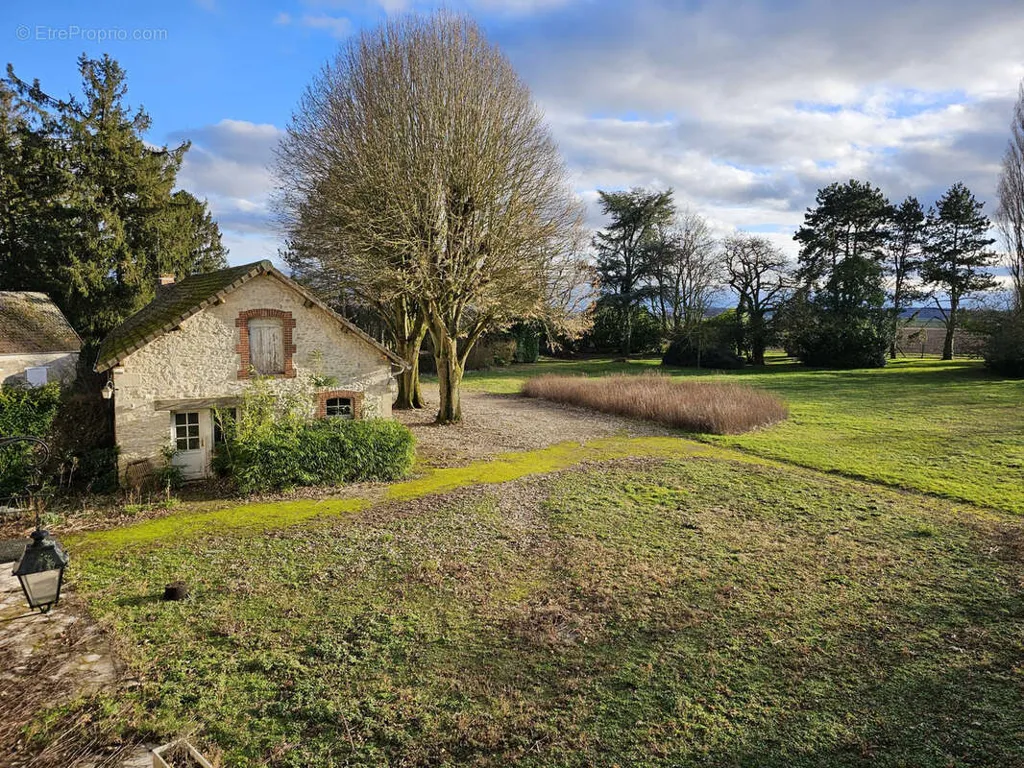 garden
