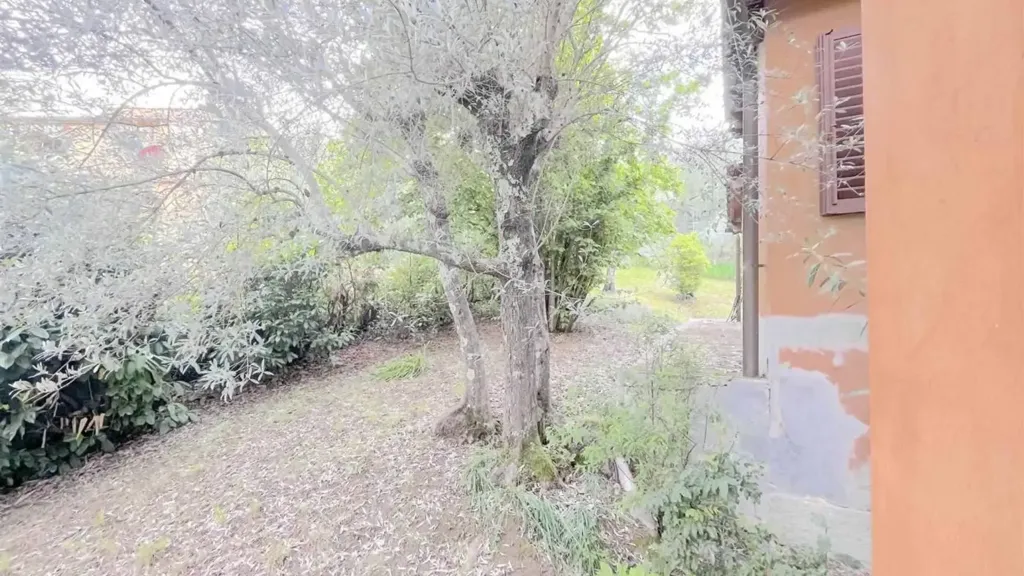 Jardin - Villa with Garden in Impruneta
