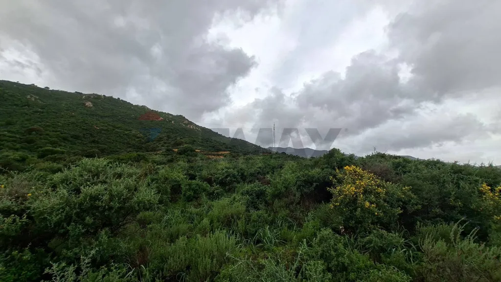 Jardin - Buildable Land with Sea View in Is Molas