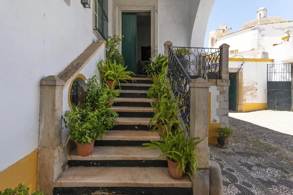 Toad - 16th Century Palace in Elvas Historical Area
