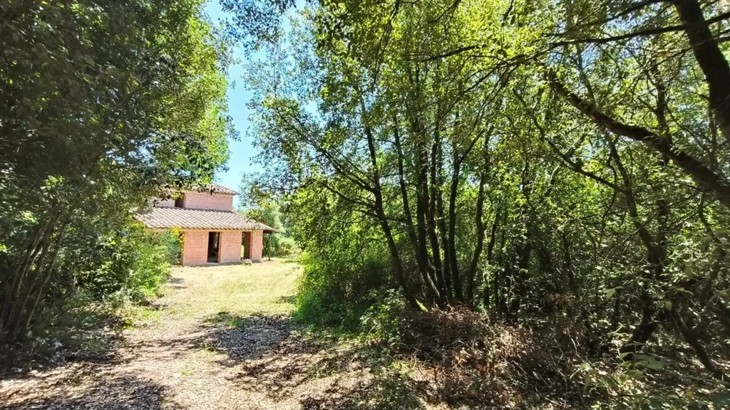 Aed - Villa with Private Park in Amelia