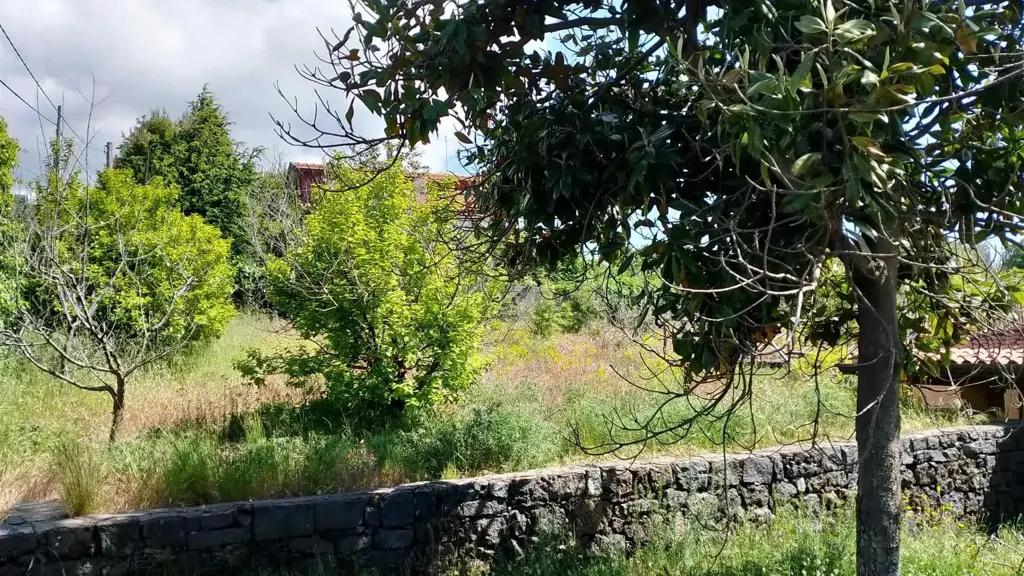 Giardino - Rustic Villa with Fruit Garden in Pedara