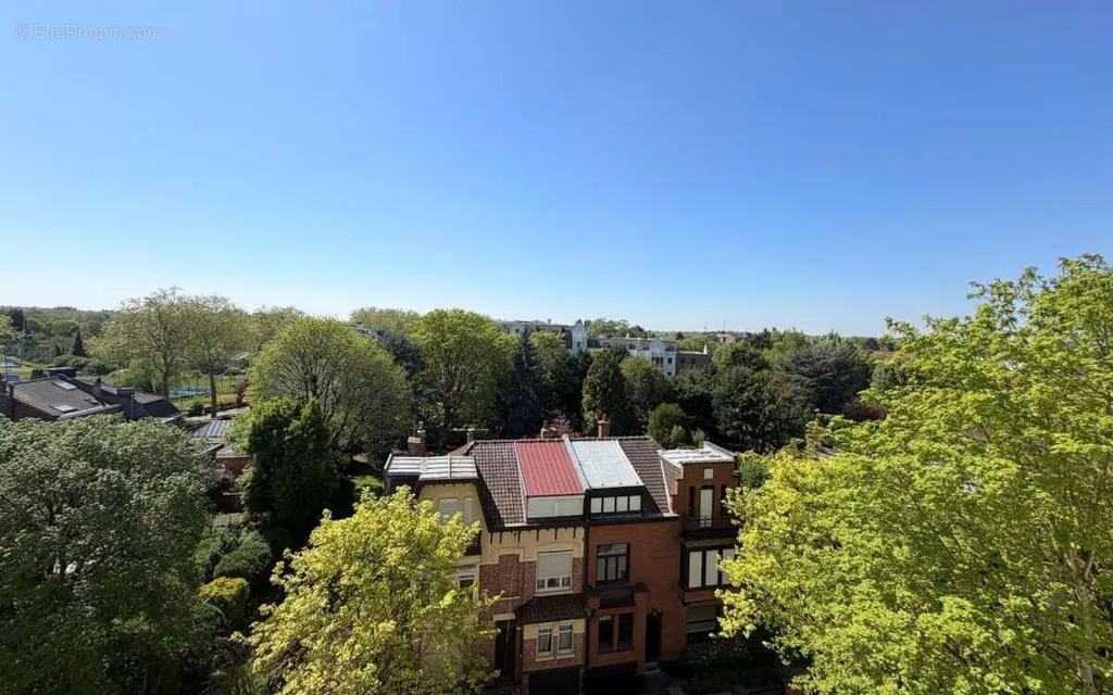 Aerial - Apartment with Terrace in Canon d'Or