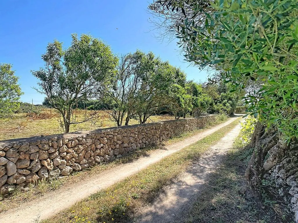 Aed - Rustic House with Pool and Terrace in Ciutadella