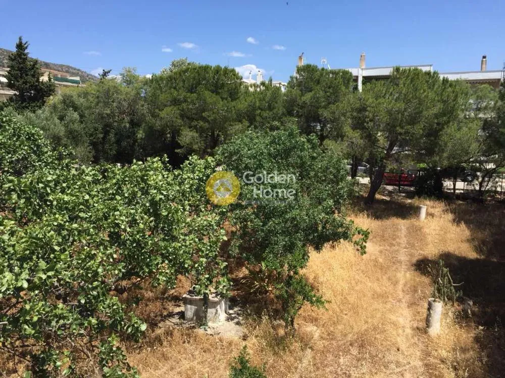 Giardino - Villa with Garden in Eastern Attica