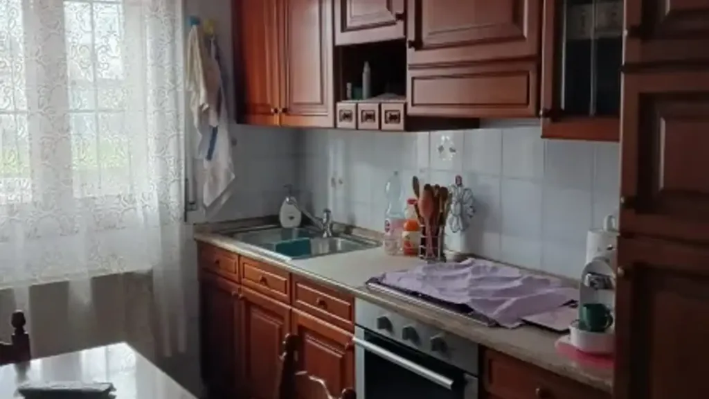 Cuisine - Rustic House with Garden near Canalbianco, Ceregnano