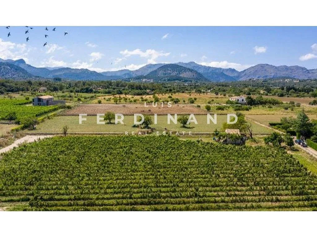 Aed - Luxury House with Vineyard in Pollença