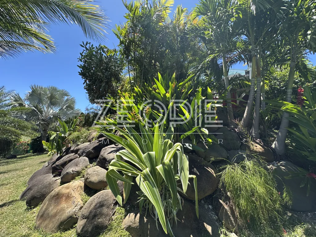 Jardin - Villa d'Architecte avec Piscine à Saint-François