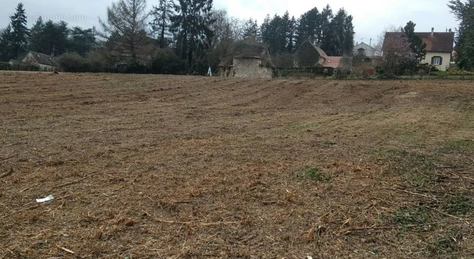 Jardin - Terrain Constructible avec Jardin à Motteville