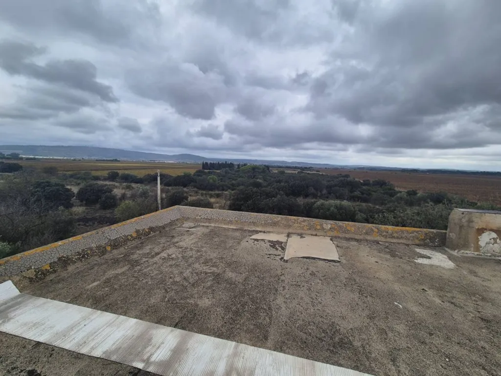 Terrazza - Restoration Project with Olive Grove in Sallèles-d'Aude
