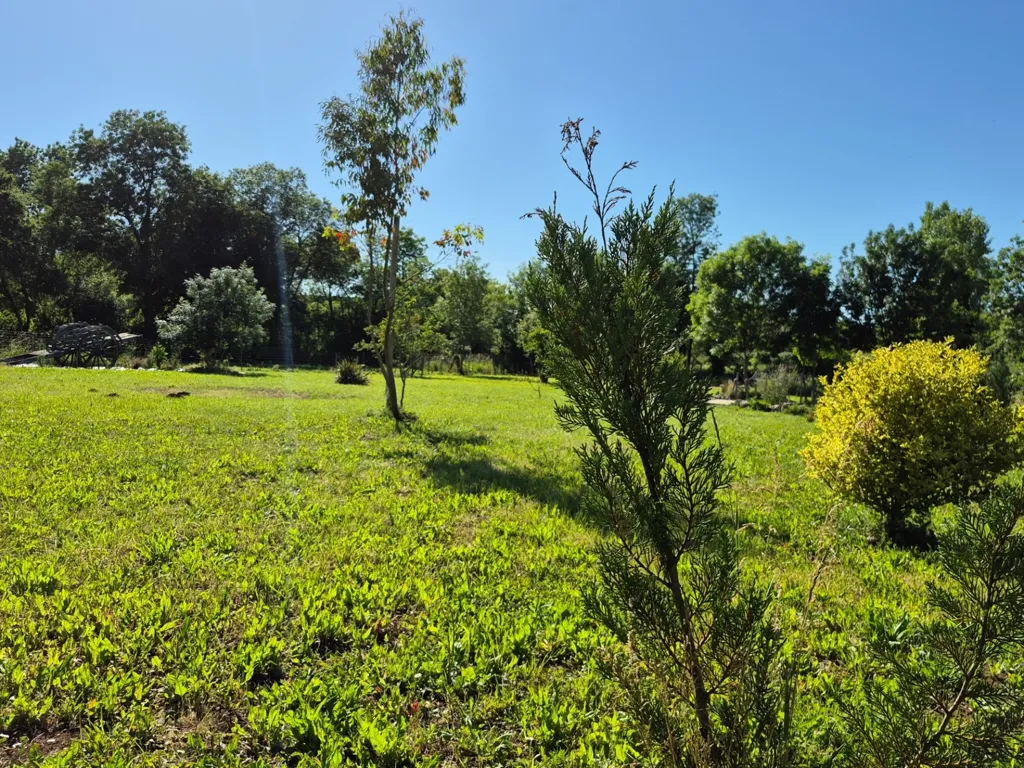 Jardin - Maison Rénovée avec Dépendances au Calme à Bords