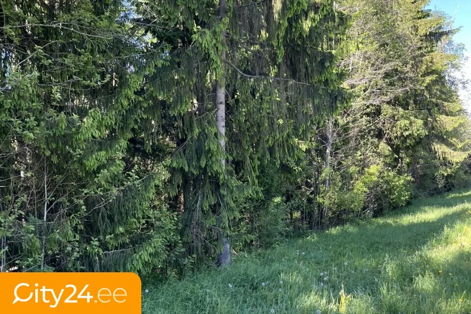 Garden - Agricultural Land with Good Access in Seljaküla