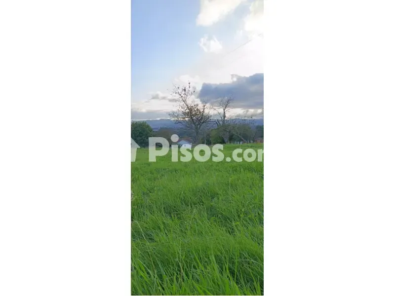 Jardin - Rustic Finca with Land in Noreña