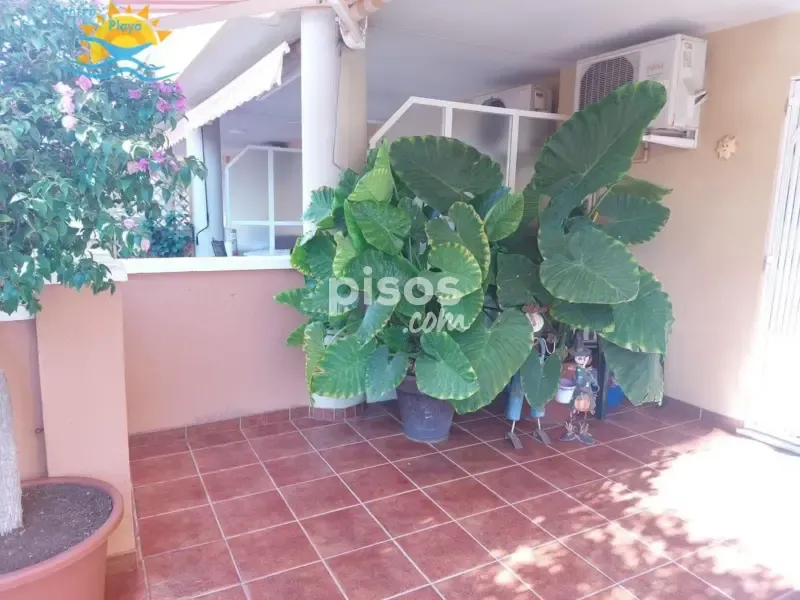Terrass - Apartment with Sea View in Moncofa