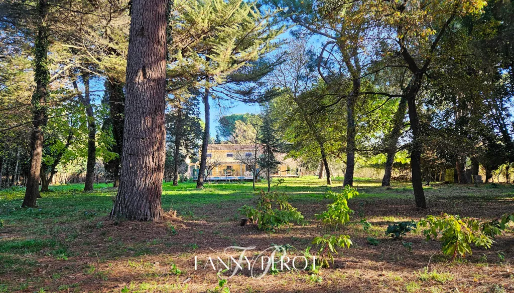 Jardin - Maison Méditerranéenne avec Piscine à Argelès-sur-Mer