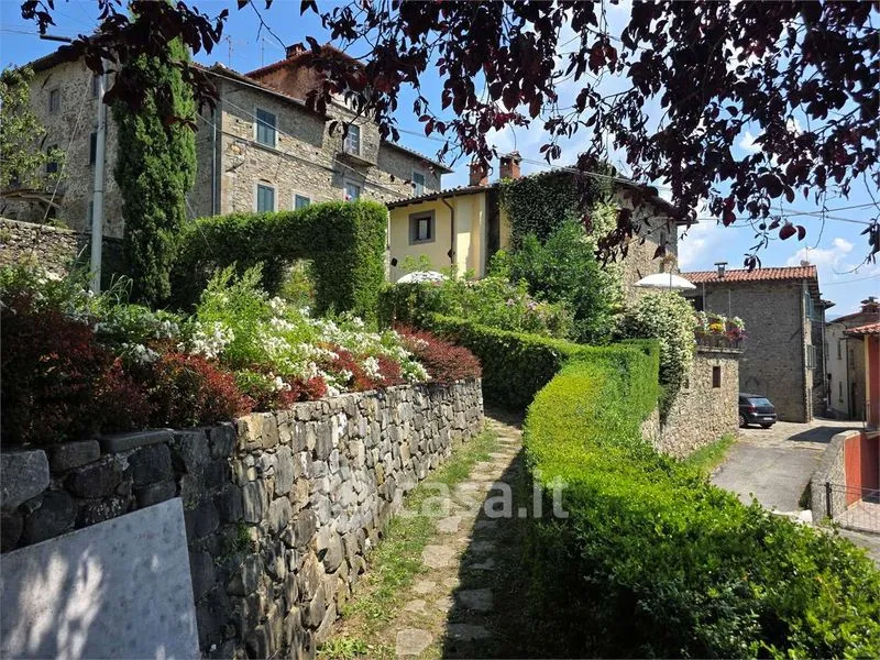 Extérieur - Restored Rustico with Garden in Camporgiano
