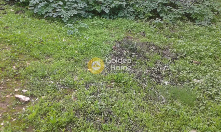 Garden - Plot with Sea View in Nikaias - Ano Neapolis