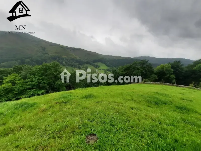 Jardin - Rustic Farm Complex with Cabañas in Valles Pasiegos