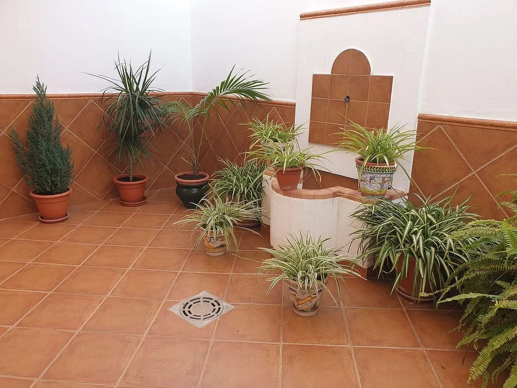 courtyard
