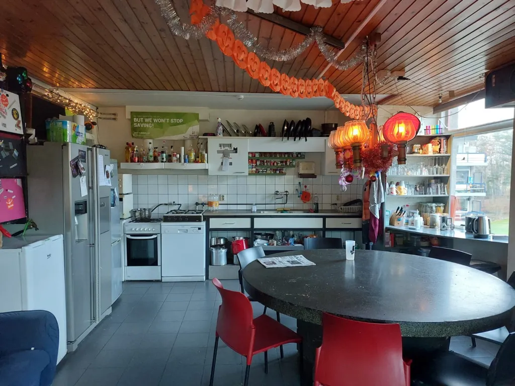 Cuisine - Student Room with Shared Amenities in Enschede