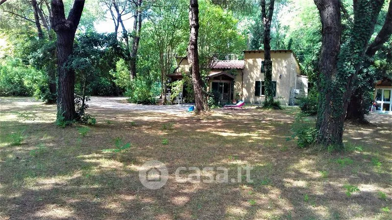 Giardino - Beachfront Villa in Massa