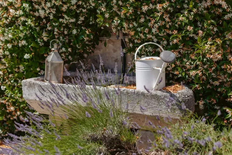 Jardin - Logis Historique avec Piscine près de Royan