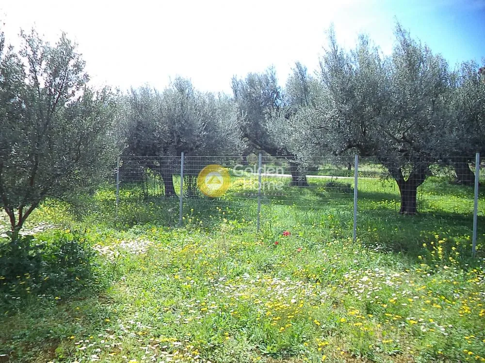 Jardin - Acreage with Sea View in Akrotiri