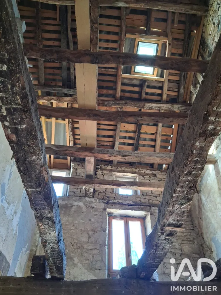 Toad - Village House for Renovation in Cazals