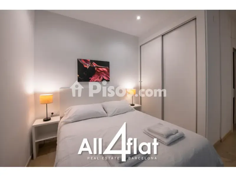 Magamistoad - Studio with South Orientation in Sant Pere, Barcelona