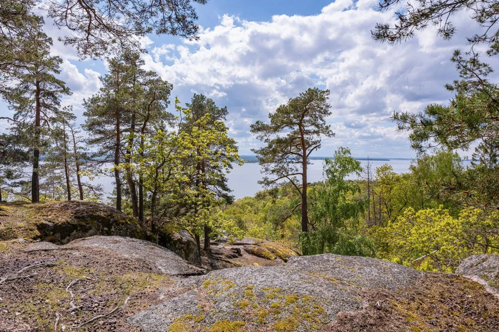 Aed - Plot with Scenic View for Development in Norrköping Area