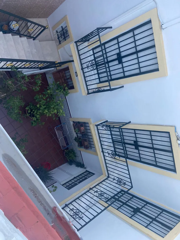 Garden - Chalet with Apartments in Centro Histórico, Jerez