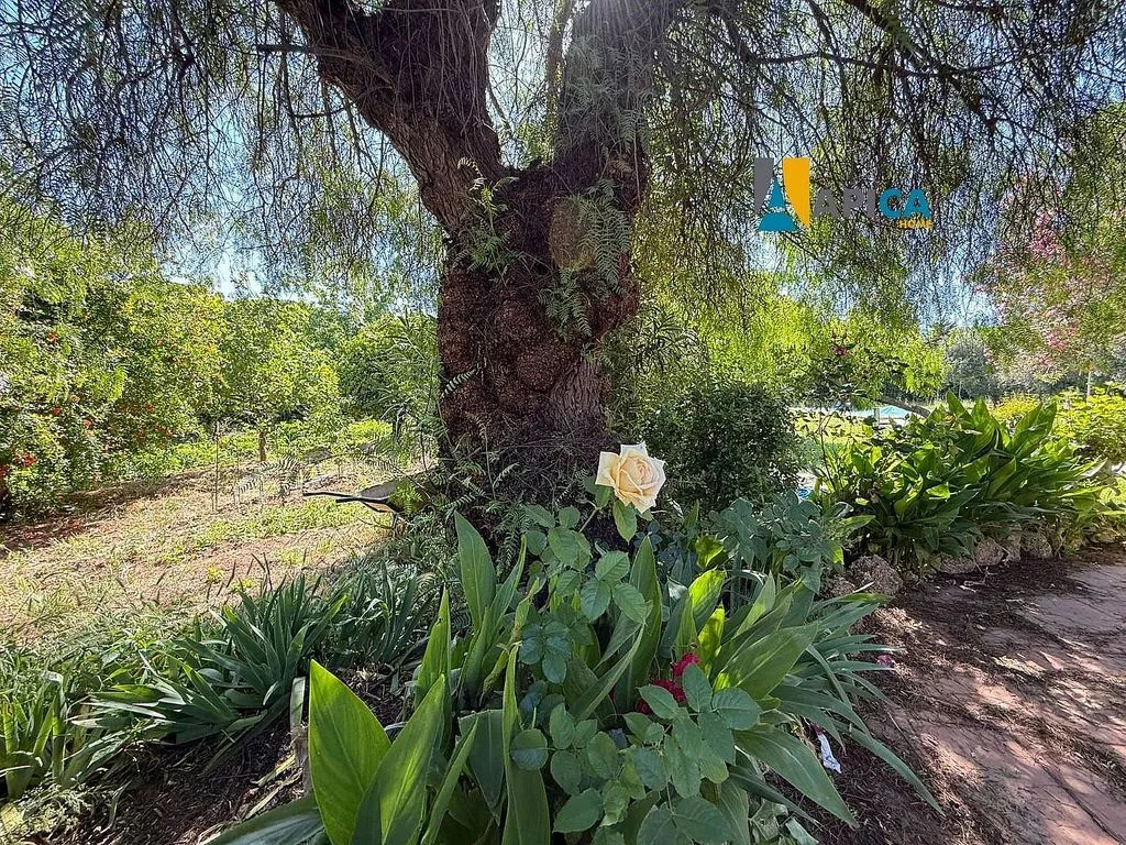 Jardin - Chalet with Pool and Terrace in El Marquesado