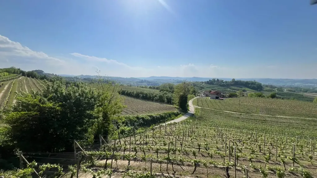 Aed - Rustic Farmhouse with Panoramic View in Castagnole delle Lanze