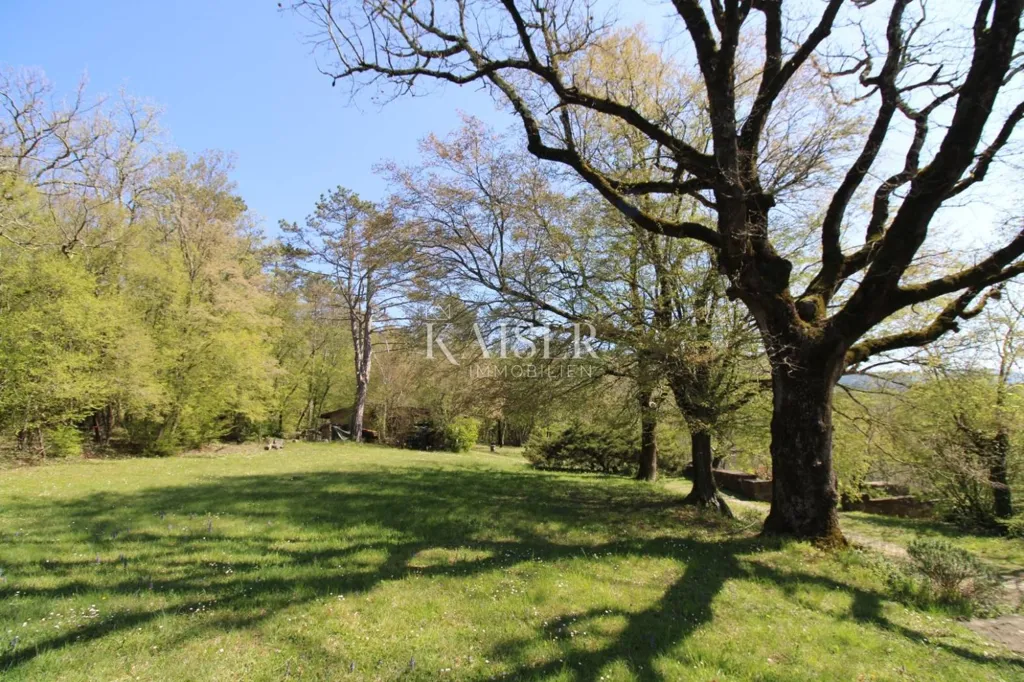 Jardin - Country House with Large Garden in Buzet