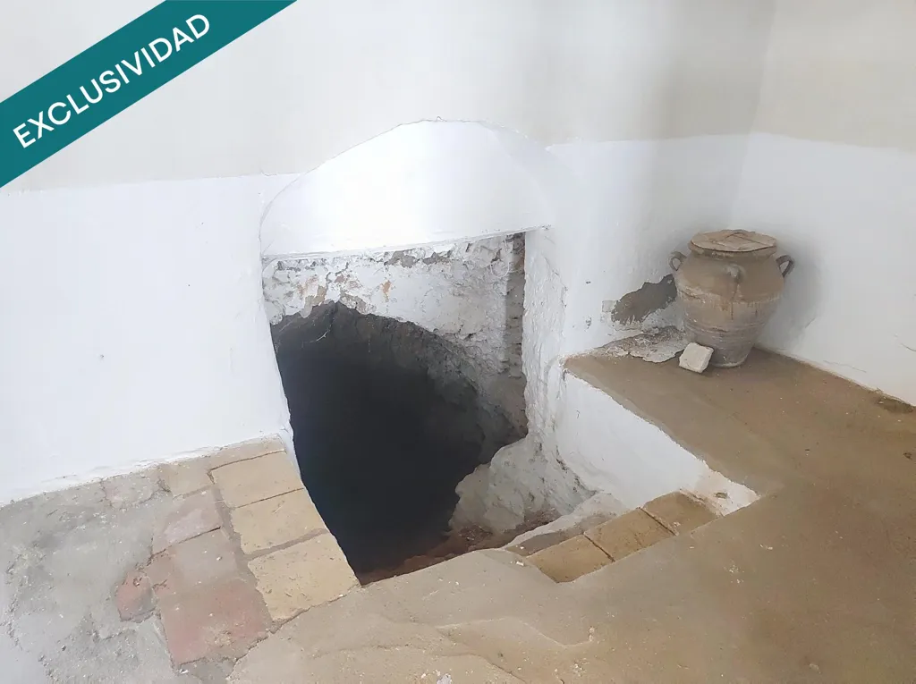 Toad - Detached House with Large Plot in Almagro