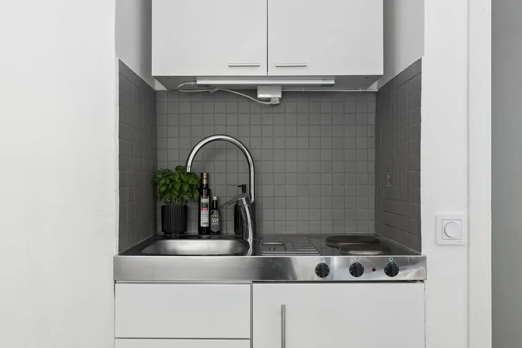 Efficient Flat with Garden in Malmö