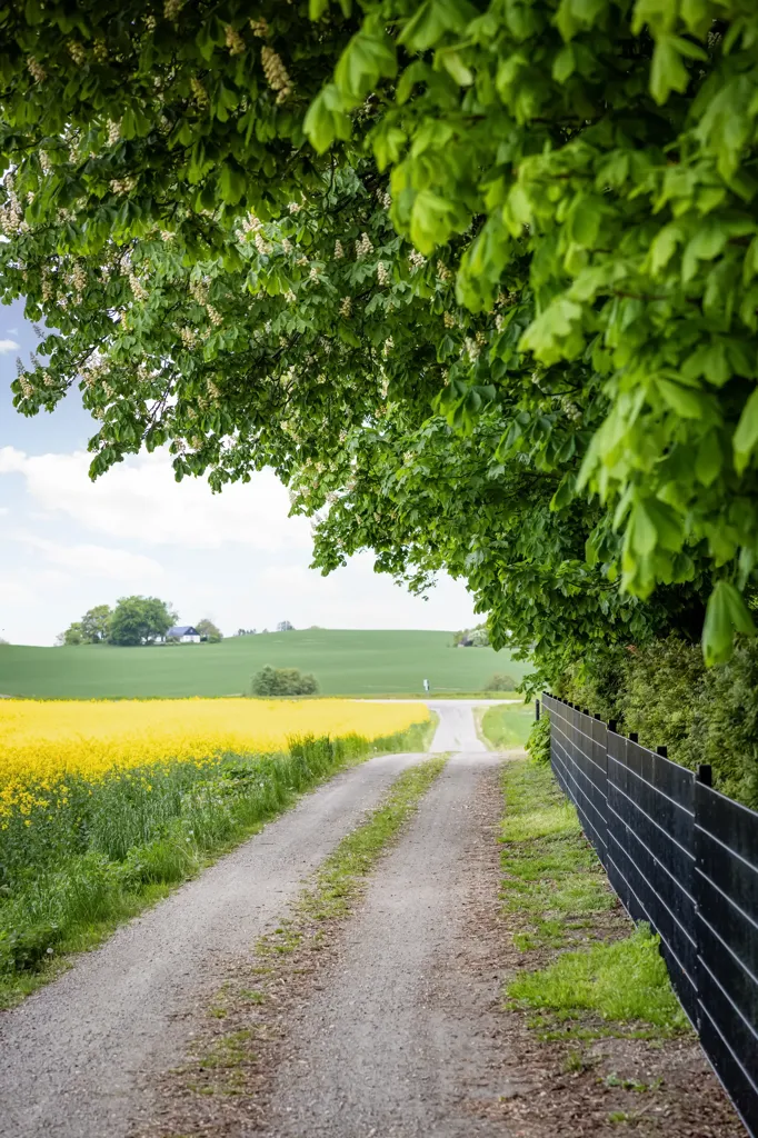 Jardin - Historic Rectory with Equestrian Centre in Skåne