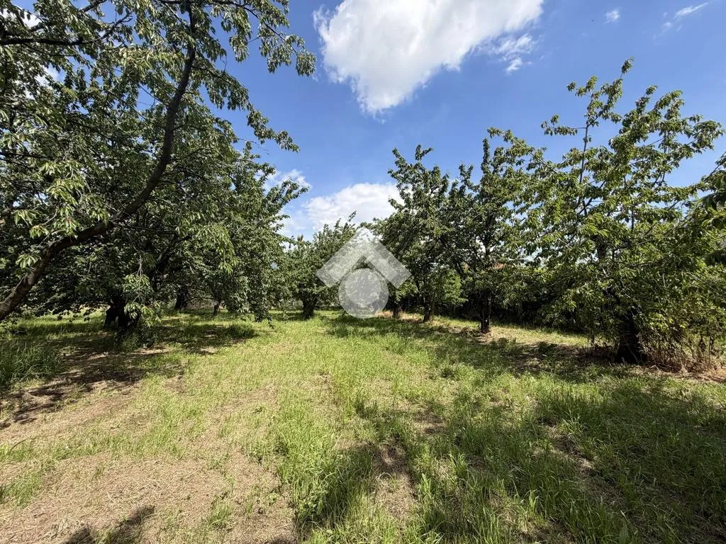 Jardin - Agricultural Land with Cherry Trees in Cervinara