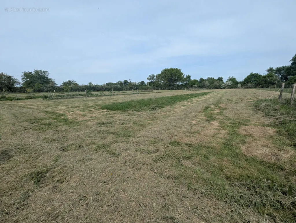 land_plot