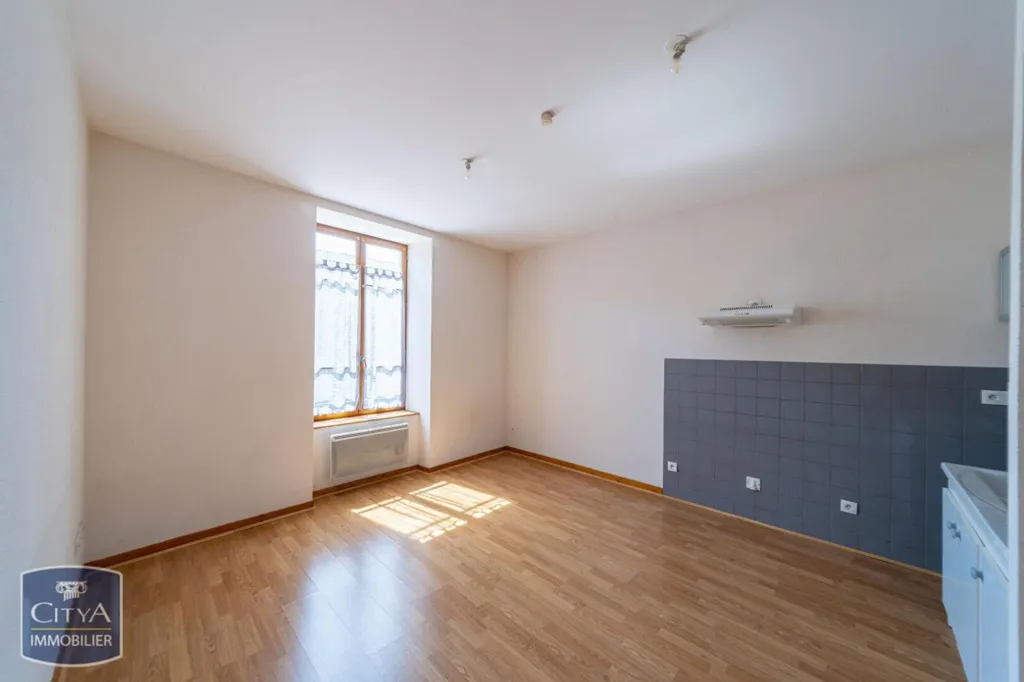 Toad - One-Bedroom Flat in Brioude Centre