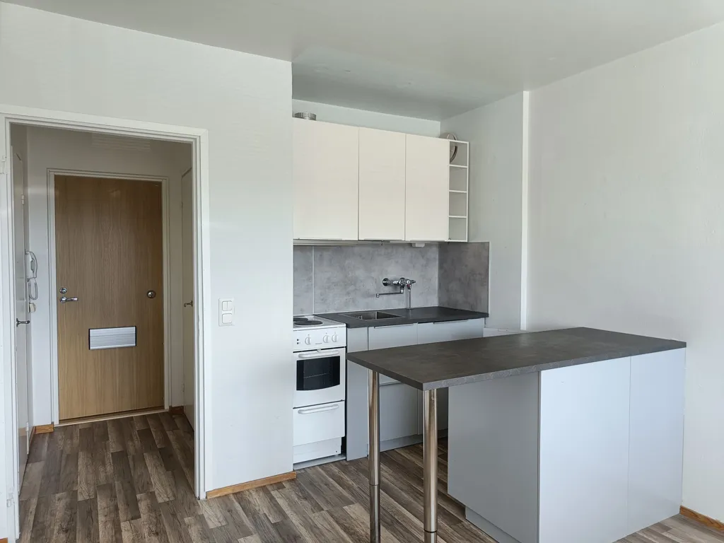 Cuisine - Apartment with Garden in Hyvinkää Centre