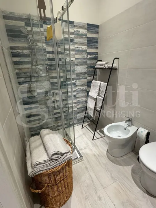 Bathrooms - Modernised Apartment with Disabled Access in Savona